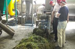 皇竹草烘干機(jī)價(jià)格,設(shè)備原理是什么？